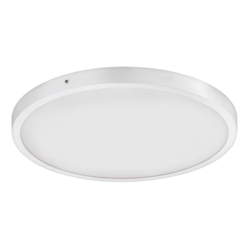 Eglo - LED Stropné svietidlo 1xLED/25W/230V biela okrúhly 4000K