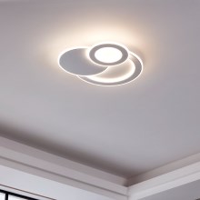 Eglo - LED stropné svietidlo 3xLED/11W/230V