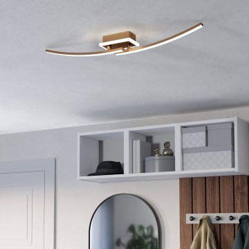 Eglo - LED Stropné svietidlo LED/12W/230V 4000K medená
