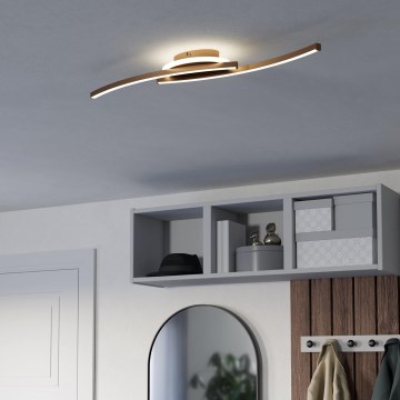 Eglo - LED Stropné svietidlo LED/12W/230V 4000K medená