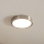 Eglo - LED Stropné svietidlo LED/16,5W/230V