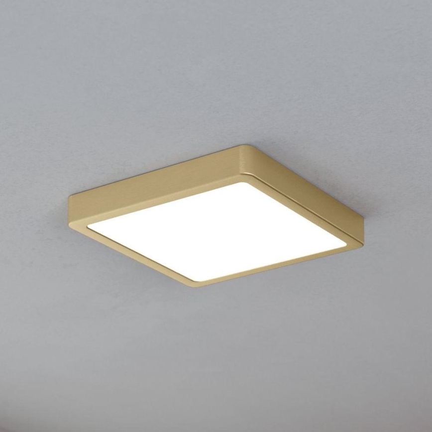 Eglo - LED Stropné svietidlo LED/17W/230V 21x21 cm