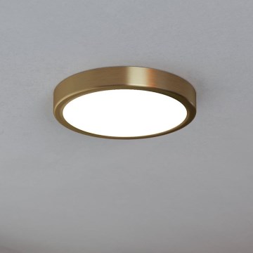 Eglo - LED stropné svietidlo LED/17W/230V priemer 21 cm priemer 21 cm