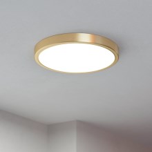 Eglo - LED Stropné svietidlo LED/20,5W/230V pr. 28,5 cm