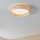 Eglo - LED Stropné svietidlo LED/24W/230V