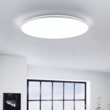 Eglo - LED Stropné svietidlo LED/29W/230V pr. 50 cm