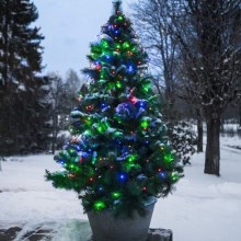 Eglo - LED Vonkajšia vianočná reťaz 160xLED 2m IP44 multicolor