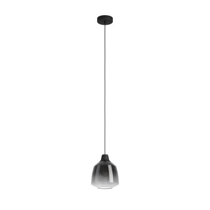Eglo - Náhradné dymové sklo Ø 20 cm pre luster na lane SEDBERGH