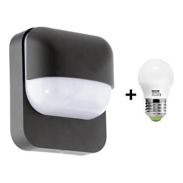 Eglo Starlux 78595 - LED Vonkajšie nástenné svietidlo RECCO 1xE27/6W/230V 3000K Eglo Starlux 78595 - LED Vonkajšie nástenné svietidlo RECCO 1xE27/6W/230V 3000K