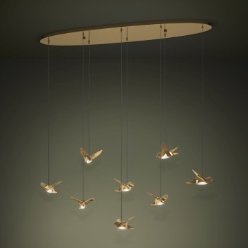 Eglo Stars of Light - LED Stmievateľný luster na lanku 8xLED/4,2W/230V 3000K zlatá