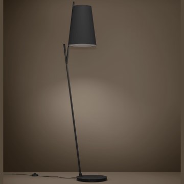 Eglo - Stojacia lampa 1xE27/40W/230V čierna