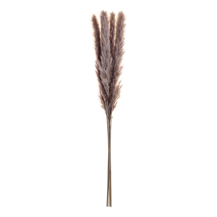 Eglo - Sušený kvet 60 cm fialová