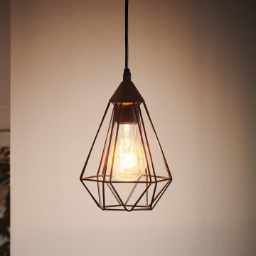 Eglo - Závesný luster na lanku 1xE27/60W/230V