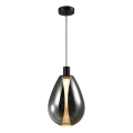 Elegantný závesný luster na lane DENSO 1xGU10/10W/230V pr. 30 cm, čierny chróm