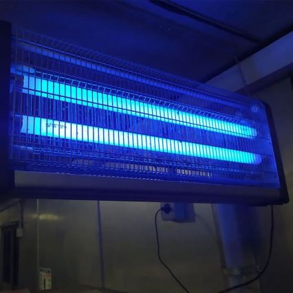 Elektrický lapač hmyzu svieti modrým svetlom v interiéri. Je pripevnený na stene.