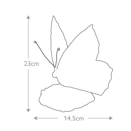 Motýľ s rozpätím krídel 14,5 cm a výškou 23 cm je znázornený čiernobielo, v čelnom pohľade. Je umiestený na bielom pozadí.