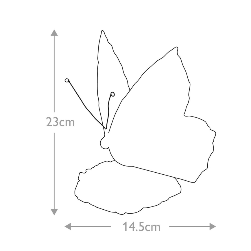 Motýľ s rozpätím krídel 14,5 cm a výškou 23 cm je znázornený čiernobielo, v čelnom pohľade. Je umiestený na bielom pozadí.