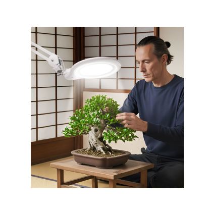 Extol - LED stmievateľná stolná lampa s lupou LED/10W/230V biela