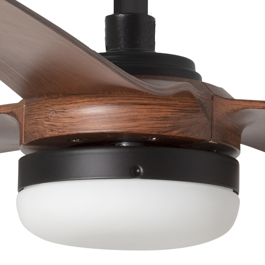 Stropný ventilátor s drevenými lopatkami hnedo-červenej farby a čiernym krytom svetla s mliečnym difúzorom je pripevnený k stropu. Ventilátor je v zmontovanom stave.