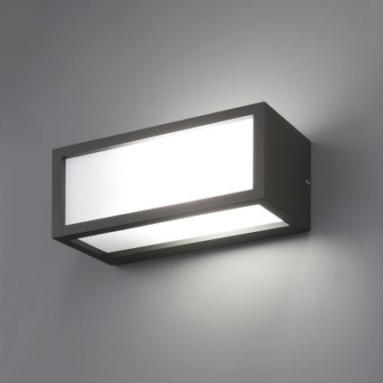 FARO 70573 - Vonkajšie nástenné svietidlo TEJO 1xE27/20W/230V IP54