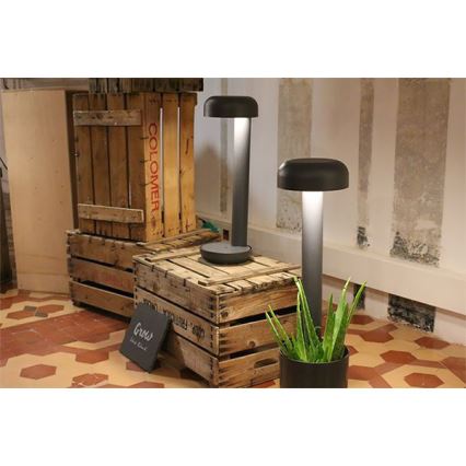 Dve vonkajšie lampy stoja na drevených debnách. Jedna lampa je umiestnená na debne, druhá vedľa kvetináča s aloe vera. Na zemi je nápis „Grow“.