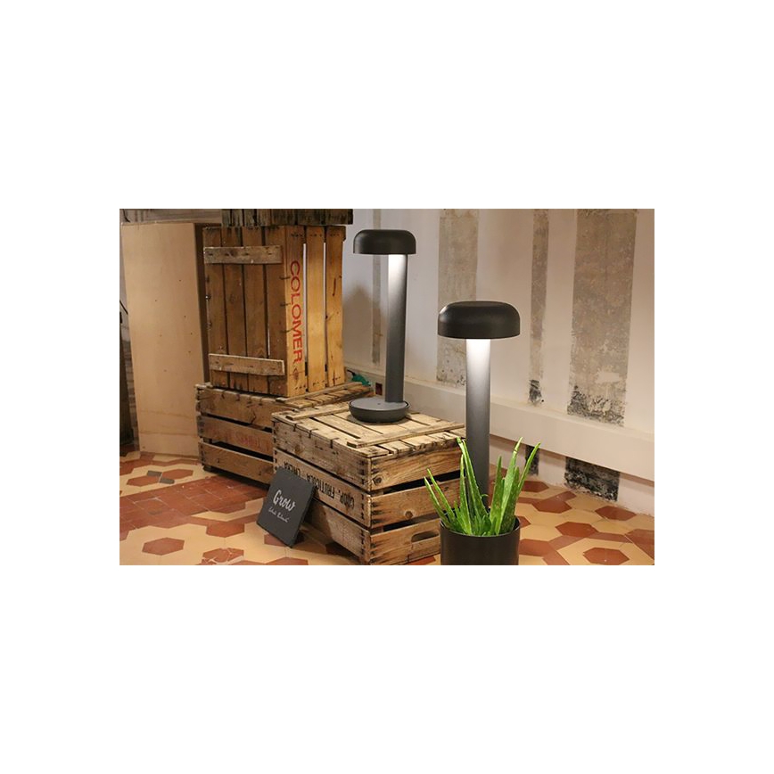 Dve vonkajšie lampy stoja na drevených debnách. Jedna lampa je umiestnená na debne, druhá vedľa kvetináča s aloe vera. Na zemi je nápis „Grow“.