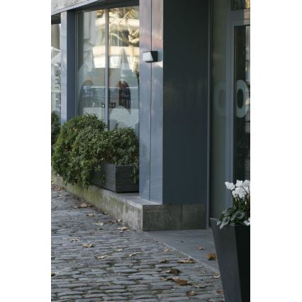 Kvetináč s rastlinami stojí pred budovou. Rastliny sú v drevenom kvetináči, ktorý je umiestnený na chodníku z dlažobných kociek. Chodník je posypaný opadanými listami.