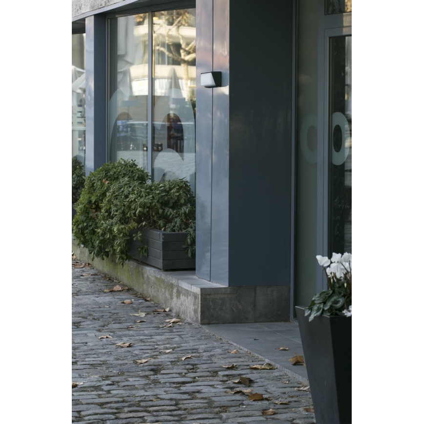 Kvetináč s rastlinami stojí pred budovou. Rastliny sú v drevenom kvetináči, ktorý je umiestnený na chodníku z dlažobných kociek. Chodník je posypaný opadanými listami.