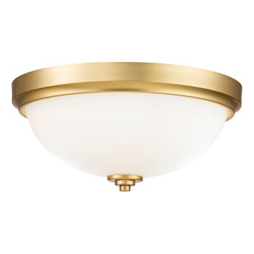 Feiss - Kúpeľňové stropné svietidlo MALIBU 2xE27/60W/230V IP44
