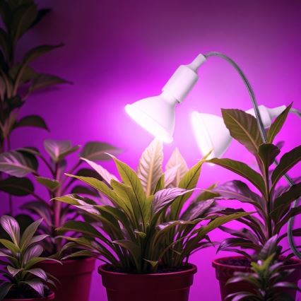 Flexibilná stolná lampa s klipom na pestovanie rastlín PLANTY 2xE27/30W/230V biela