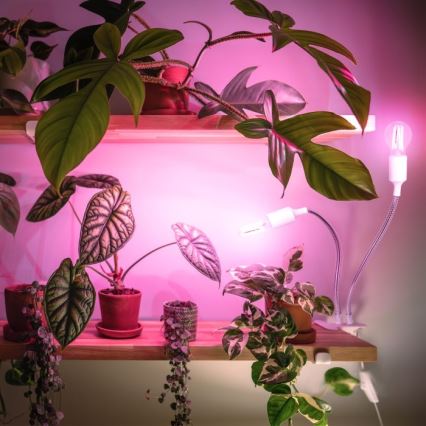Flexibilná stolná lampa s klipom na pestovanie rastlín PLANTY 2xE27/30W/230V biela