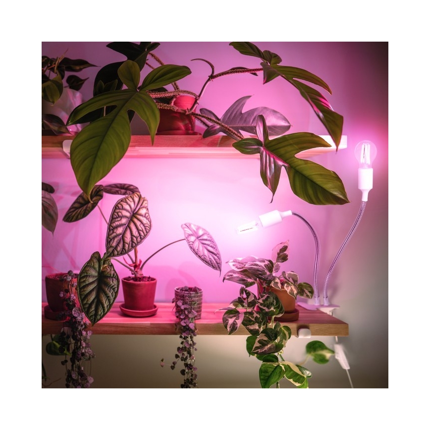 Flexibilná stolná lampa s klipom na pestovanie rastlín PLANTY 2xE27/30W/230V biela