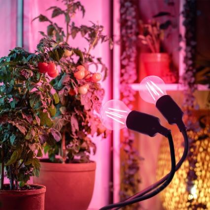 Flexibilná stolná lampa s klipom na pestovanie rastlín PLANTY 2xE27/30W/230V čierna