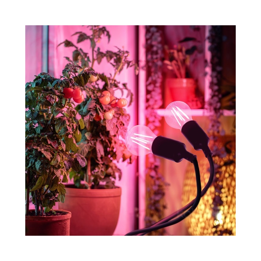 Flexibilná stolná lampa s klipom na pestovanie rastlín PLANTY 2xE27/30W/230V čierna