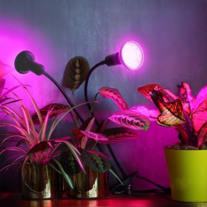 Flexibilná stolná lampa s klipom na pestovanie rastlín PLANTY 2xE27/30W/230V čierna