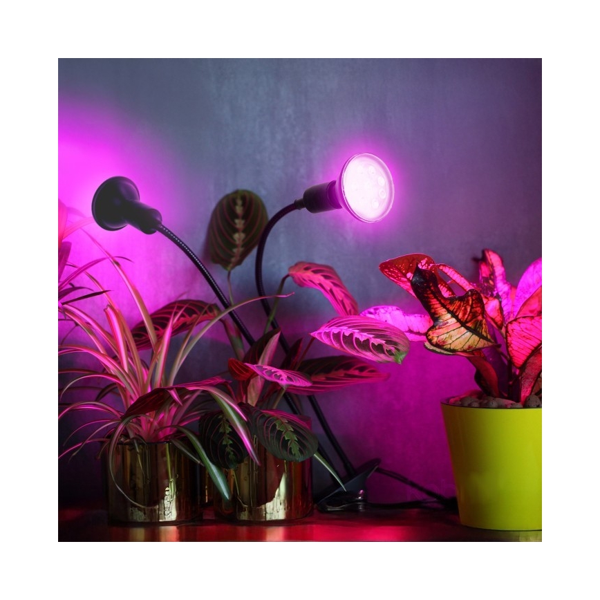 Flexibilná stolná lampa s klipom na pestovanie rastlín PLANTY 2xE27/30W/230V čierna