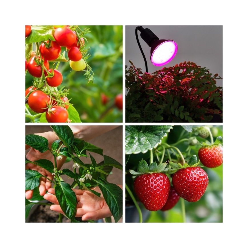 Flexibilná stolná lampa s klipom na pestovanie rastlín PLANTY 1xE27/30W/230V čierna