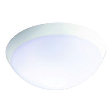 Fulgur 26233 - LED Priemyselné núdzové svietidlo so senzorom ROMANA LED/20W/230V 2200 mAh IP64