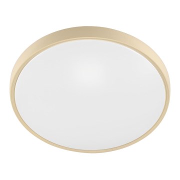 Fulgur 27480 - Rámik s difúzorom pre stropné svietidlo VERA 420 GOLD