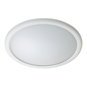 Fulgur 28843 - LED Vonkajšie stropné svietidlo HANA LED/20W/230V IP65
