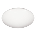 Fulgur s-24465 - LED stropné svietidlo ANETA DUAL LED/36W/230V + LED/10W 4000K pr. 50 cm