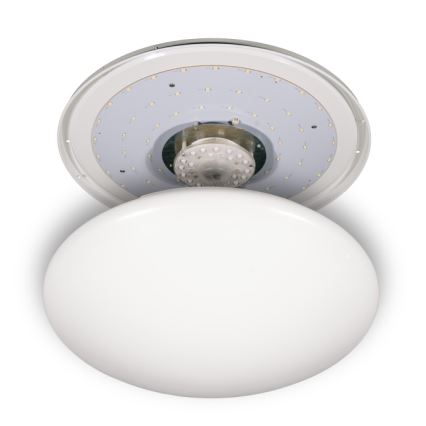 Fulgur s-24465 - LED stropné svietidlo ANETA DUAL LED/36W/230V + LED/10W 4000K pr. 50 cm