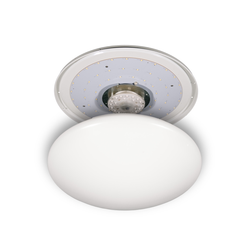 Fulgur s-24465 - LED stropné svietidlo ANETA DUAL LED/36W/230V + LED/10W 4000K pr. 50 cm