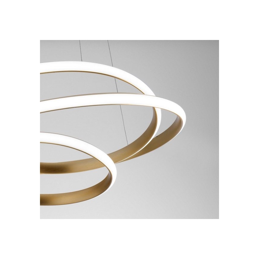 Gea Luce DIVA S P ORO - LED Stmievateľný luster na lanku DIVA LED/43W/230V zlatá