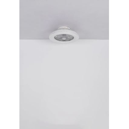 Globo - LED Stmievateľný stropný ventilátor LED/40W/230V 3000-6500K + diaľkové ovládanie