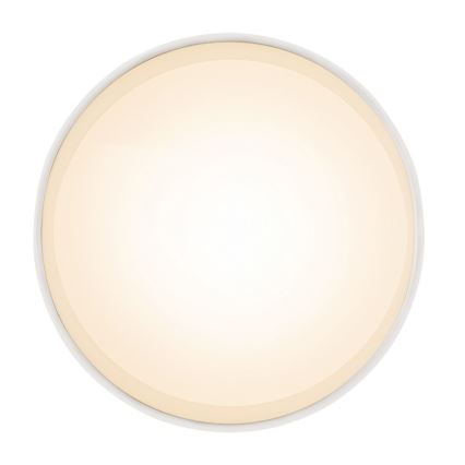 Globo 12015W - LED Stropné svietidlo JENNY LED/8W/230V