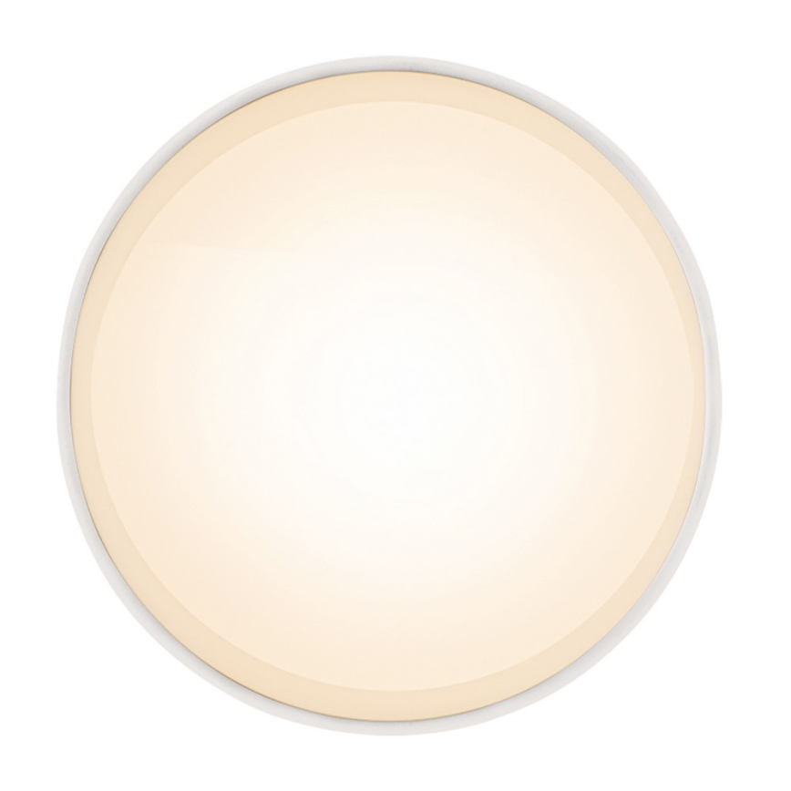 Globo 12015W - LED Stropné svietidlo JENNY LED/8W/230V