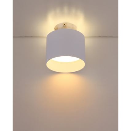 Globo 12015W - LED Stropné svietidlo JENNY LED/8W/230V