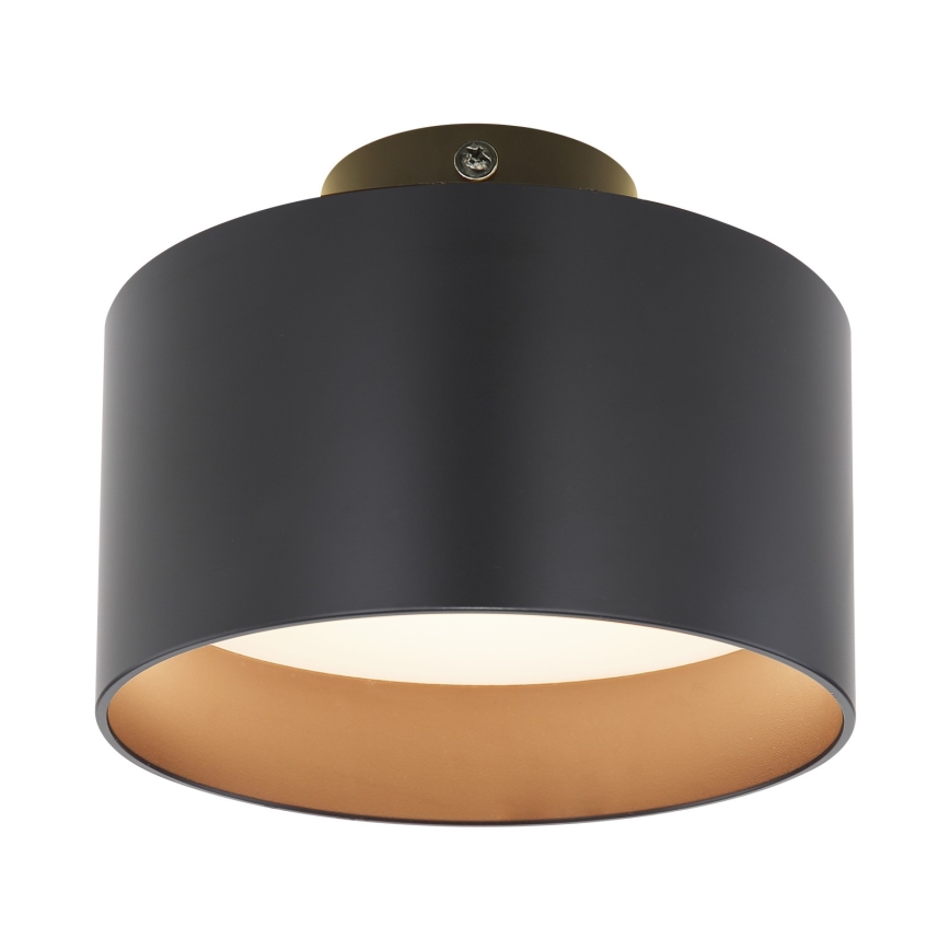 Globo - LED Stropné svietidlo LED/16W/230V
