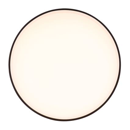 Globo - LED Stropné svietidlo LED/16W/230V